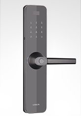 富宇智能鎖6503 風暴黑 富宇智能鎖6503 風暴黑