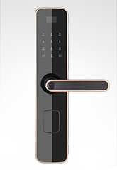 富宇智能鎖6505 迪拜金 富宇智能鎖6505 迪拜金