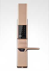 富宇智能鎖6512 迪拜金 富宇智能鎖6512 迪拜金