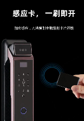 3D人臉全自動智能鎖-6591 3D人臉全自動智能鎖-6591