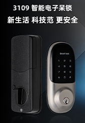 3109智能電子呆鎖 3109智能電子呆鎖
