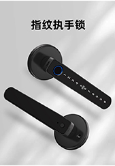 6521-指紋執(zhí)手鎖 6521-指紋執(zhí)手鎖